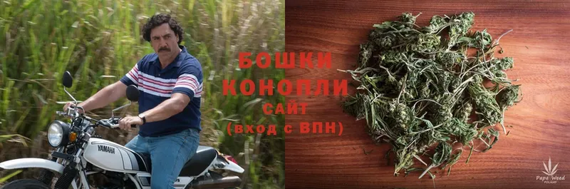 блэк спрут зеркало  Островной  Канабис Ganja 